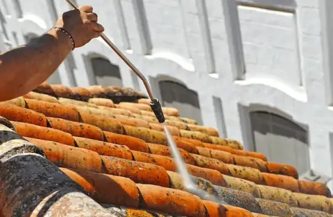 Nettoyage de toitures - Le Reposoir